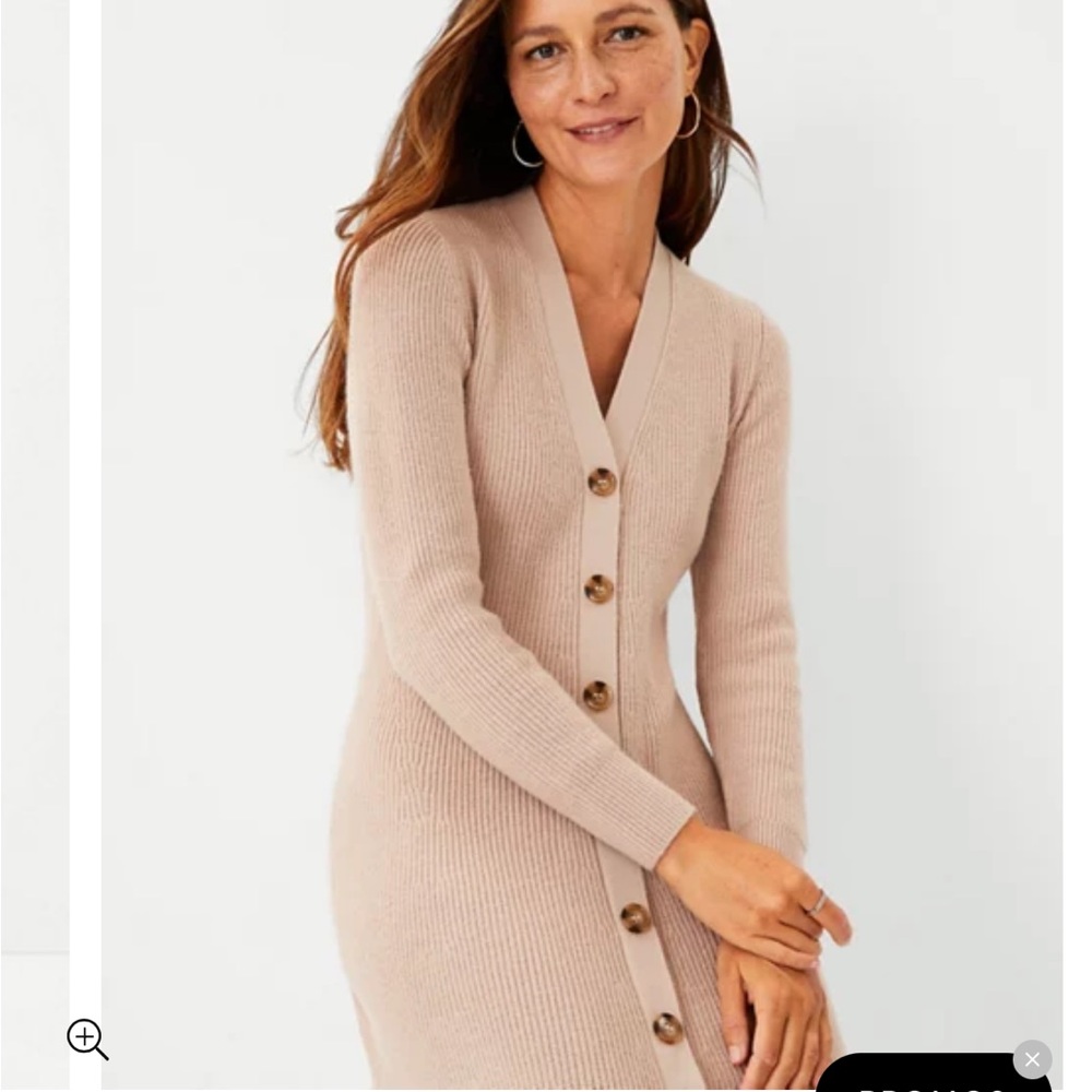 NEW Ann Taylor Sweater Dress